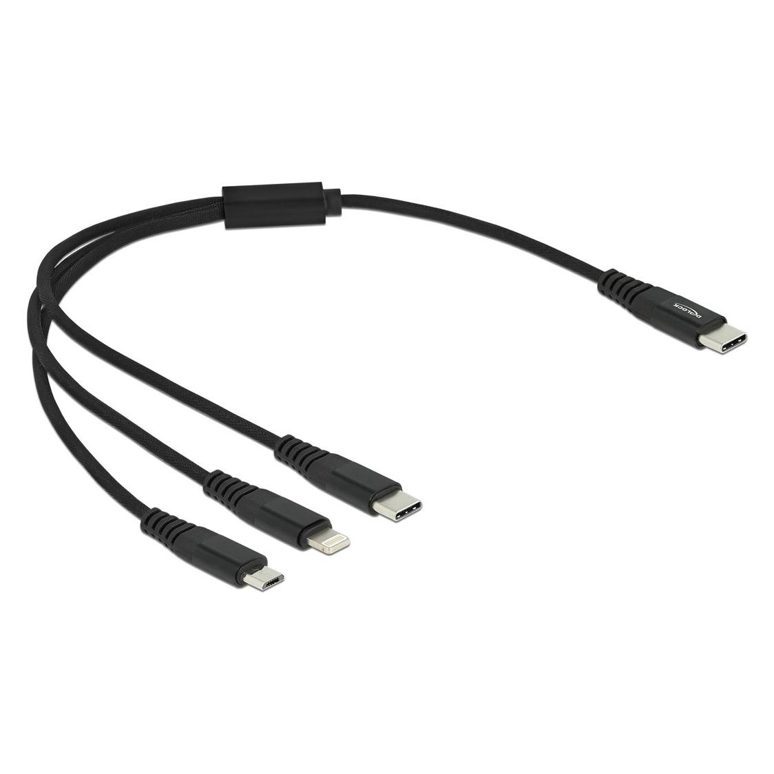 Delock 3in1 (0.30 m, USB 2.0, 5 W) (87148)