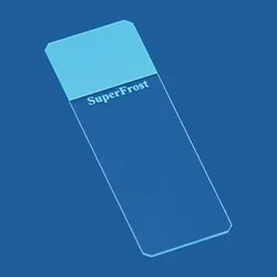 Objektträger SuperFrost blau 45° geschliffen 50 Stück