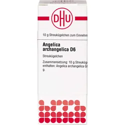 Angelica Archangelica D6 10 G