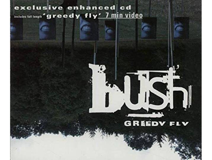 Greedy Fly Pt 2
