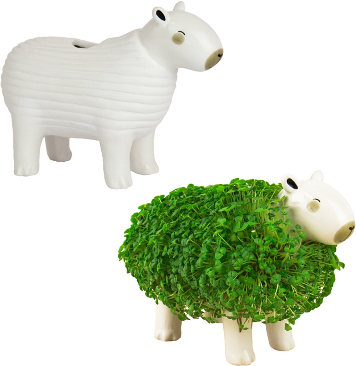 Gift Republic Plantenpot met chiazaden - Capybara