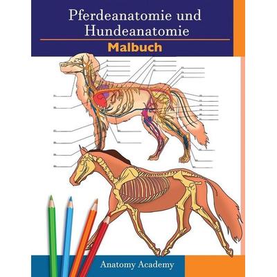 Farbbuch für Pferde- und Hundeanatomie, Taschenbuch von Anatomy Academy, Muze Publishing, 978-1-914207-23-5