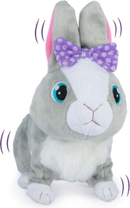IMC Betsy Hase