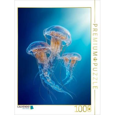 CALVENDO Puzzle Tanz der Quallen | 1000 Teile Lege-Größe 64 × 48 cm Foto-Puzzle für glückliche Stunden, von , Calvendo Puzzle