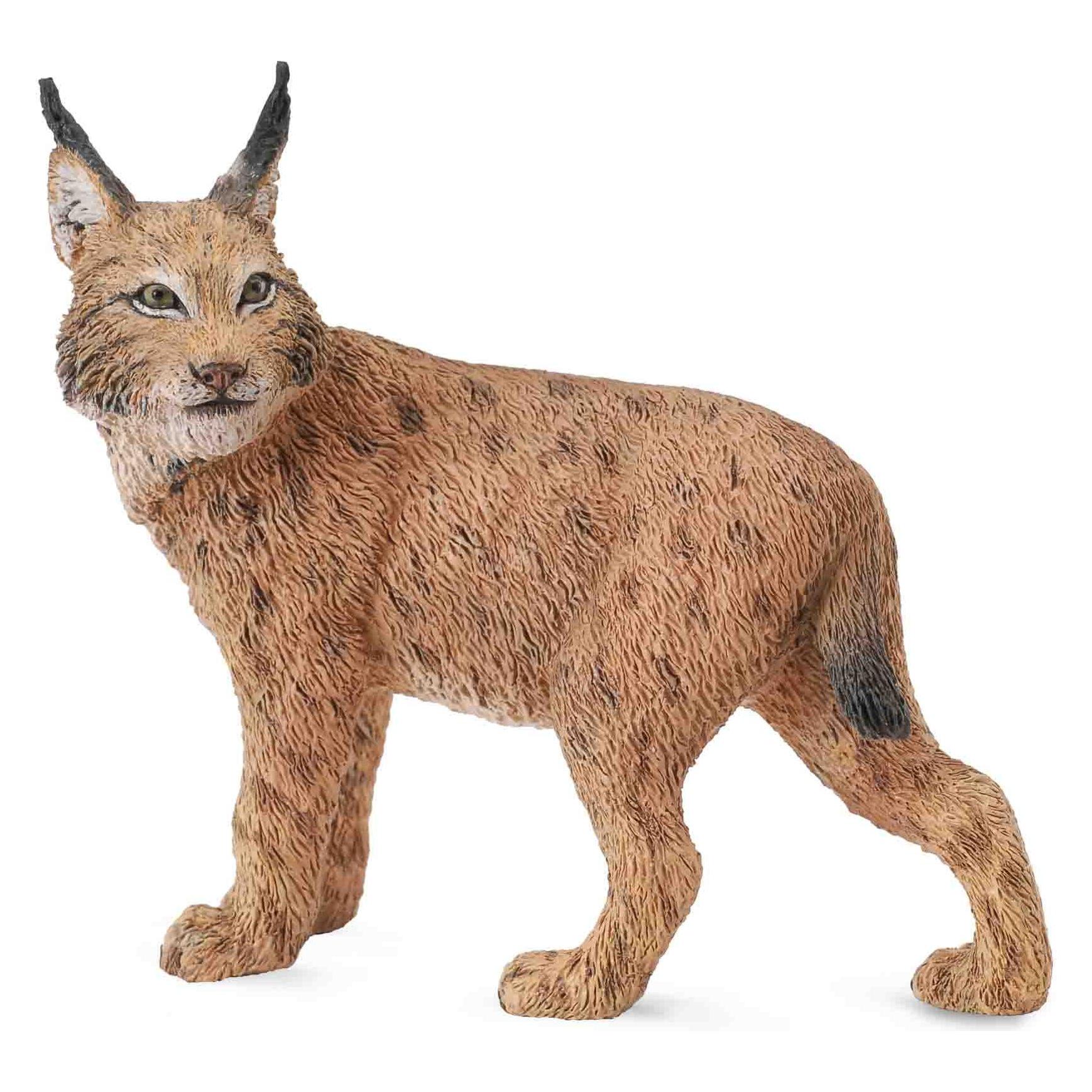Collecta LUCHS (L) (88565)