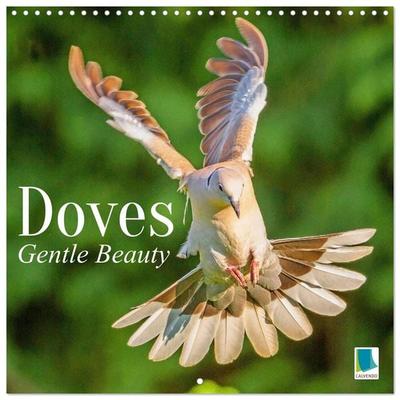 Doves: Gentle Beauty (Wall Calendar 2027 12 × 12 Inch) CALVENDO 12 Month Wall Calendar