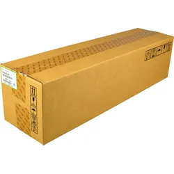 Ricoh Developer D2443020 schwarz OEM