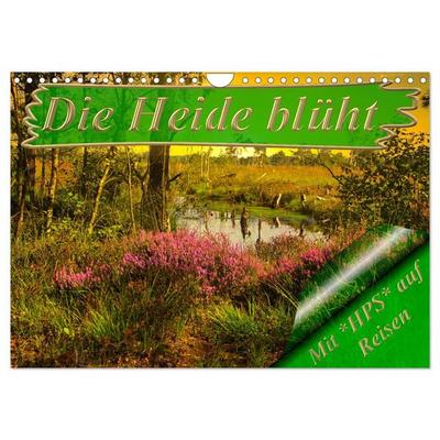 Die Heide blüht (Wandkalender 2026 DIN A4 quer), CALVENDO Monatskalender