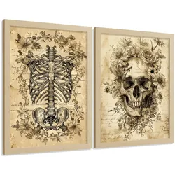 POSTER Set aus 2 Anatomie Mensch Drucke und Wandbilder mit Schädel Wirbelsäule Rippen Becken Klassisches Vintage Design Größe Leichter Holzrahmen A3