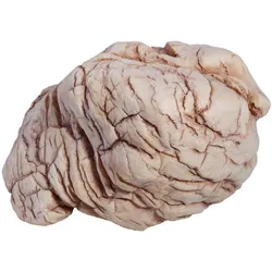 Hobby Sandstone Rock 3 - Dekoration für Aquarium und Terrarium