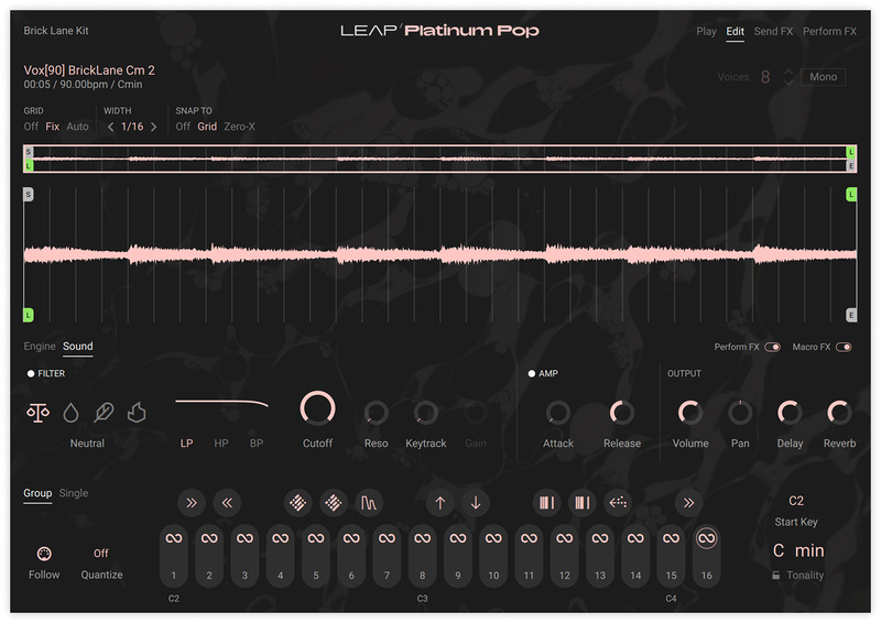 Native Instruments Leap Expansion Platinum Pop