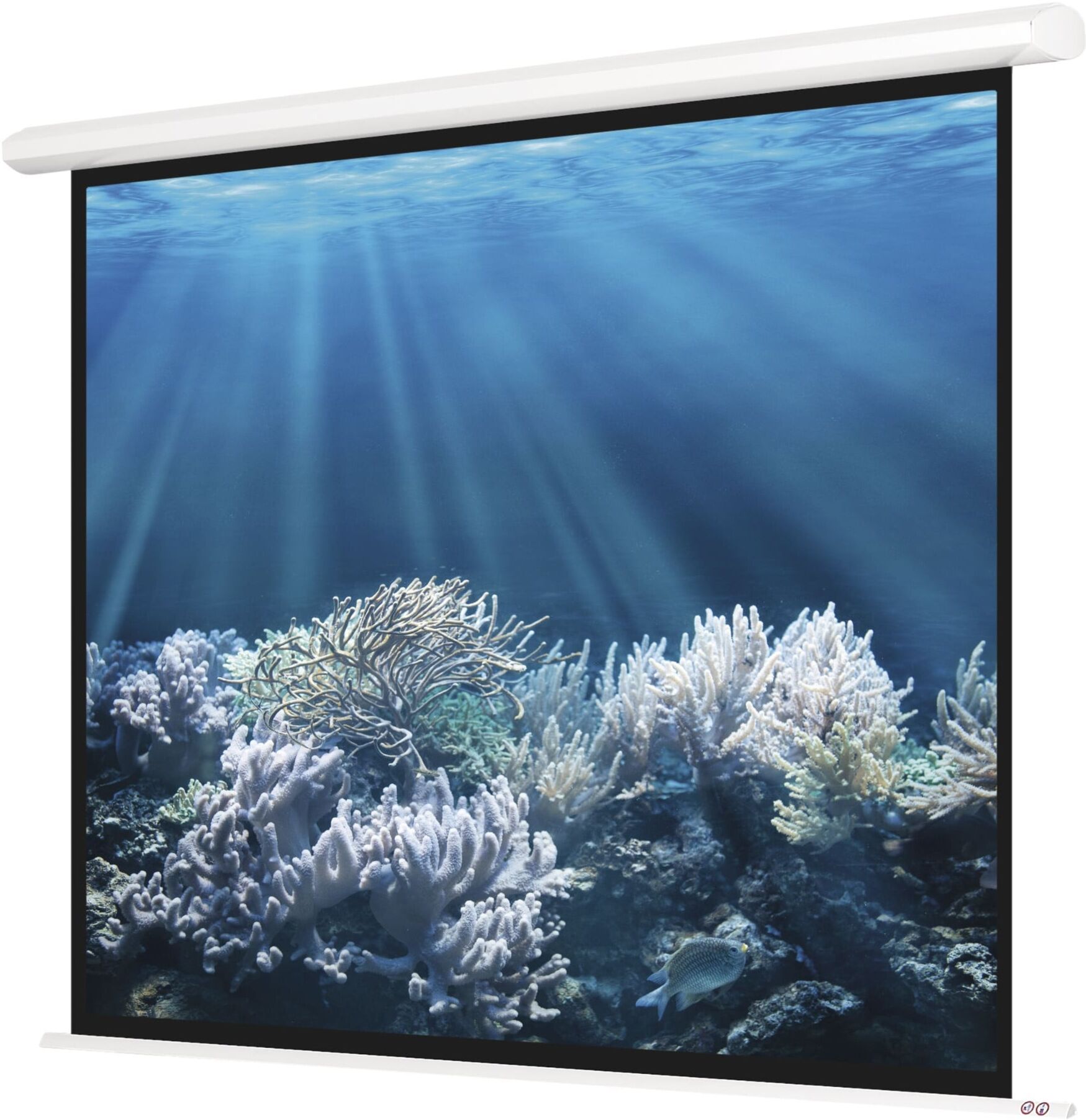 Magnetoplan Elektrische Leinwand Standard, 2000 x 1500 mm, 4:3 (6343938)