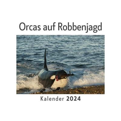 Orcas auf Robbenjagd (Wandkalender 2024, Kalender DIN A4 quer, Monatskalender im Querformat mit Kalendarium, Das perfekte Geschenk)