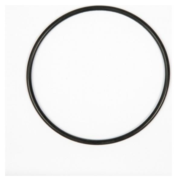 Bestway Top O-ring voor 2000gal Zandfilter