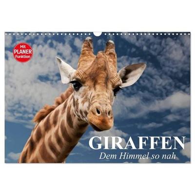 Giraffen. Dem Himmel so nah (Wandkalender 2027 DIN A3 quer), CALVENDO Monatskalender