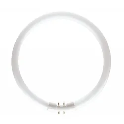 PHILIPS 2GX13 MASTER TL5 Circular Leuchtstofflampe 60W 4000K kaltweißes Licht