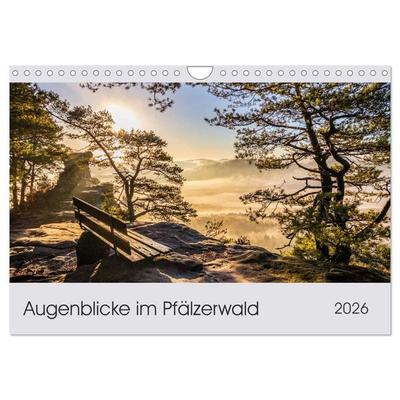 Augenblicke im Pfälzerwald (Wandkalender 2026 DIN A4 quer), CALVENDO Monatskalender