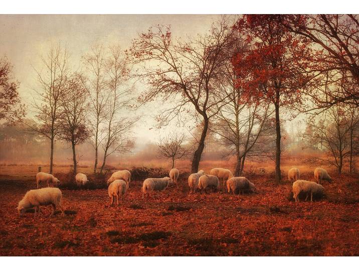 Fototapete PAPERMOON Photo-Art ELLEN VAN DEELEN, LETZTE TAGE DES HERBSTES , bunt, B:4,5m L:2,8m, Vlies, Tapeten, Fototapete