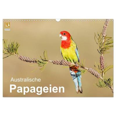 Australische Papageien (Wandkalender 2027 DIN A3 quer), CALVENDO Monatskalender