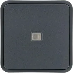 Hager WNT912 Wippe 1fach für Taster BA AP, mit Linse, W.1 IP55, grau