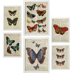 POSTER Set Mit 6 Schmetterlinge Vintage Papier Stil Plakate Mit Enzyklopädie Hintergründen Bunte Schmetterlinge Innenarchitektur A3 & A4 Weißer Rahmen