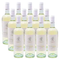 12er-Sparpaket San Marzano Bianco Salento i Tratturi IGP 2025