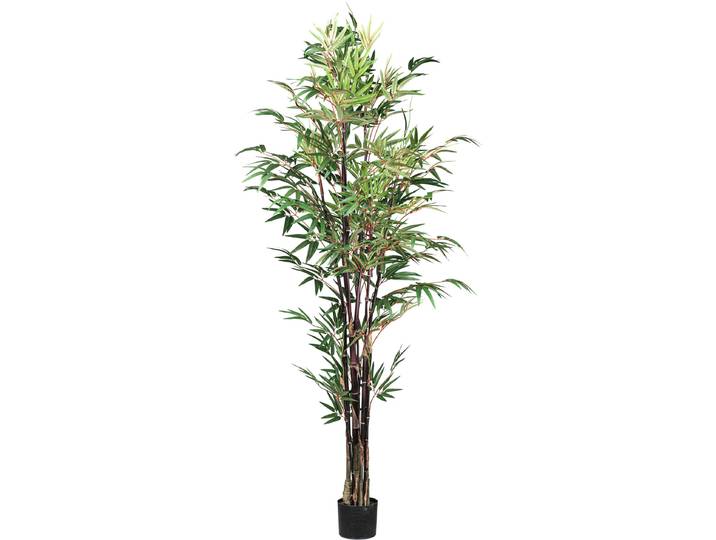 Kunstpflanze CREATIV GREEN Bambus Chinese Wonder , grün, H:190cm, Kunstpflanzen, Kunstpflanze, mit 7 Stämmen