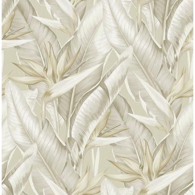 Kenneth James Arcadia Beige Banana Leaf Wallpaper - 20.5in x 396in x 0.025in
