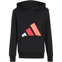 adidas Essentials Hoodie ältere Kinder KT3377 - black/white/pure ruby 140