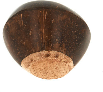 Terre Shaker Coconut - 453