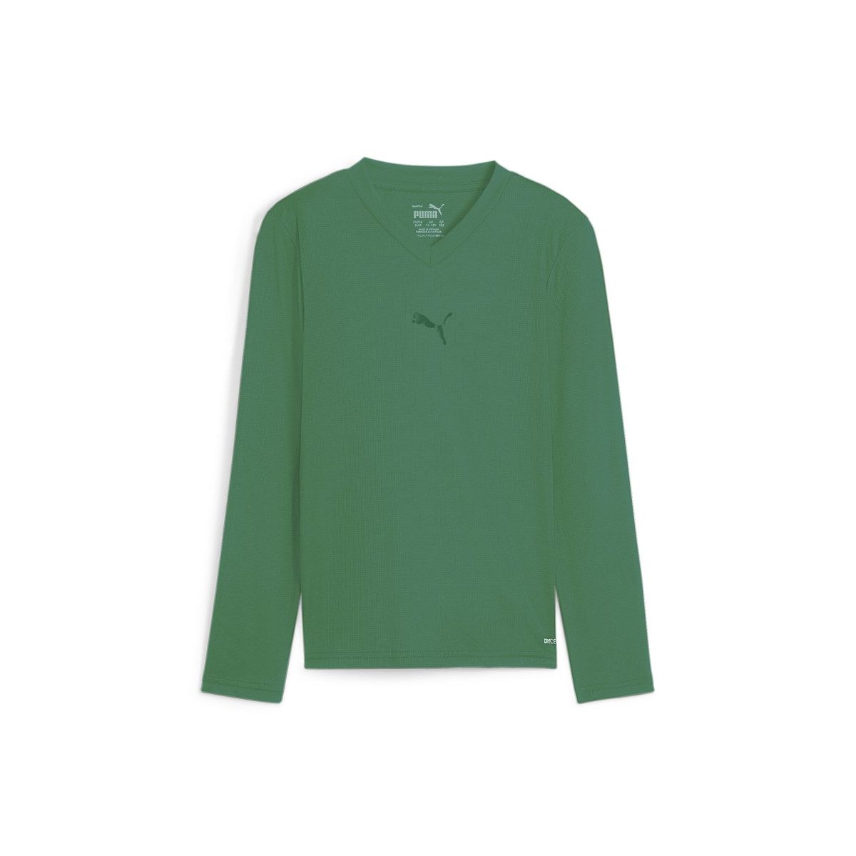 Puma Teamgoal Baselayer Tee LS Jr sport green-power green (05) 164 659041-05-164