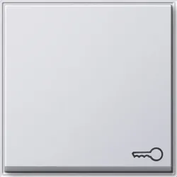 Gira Wippe Tür rws 028766