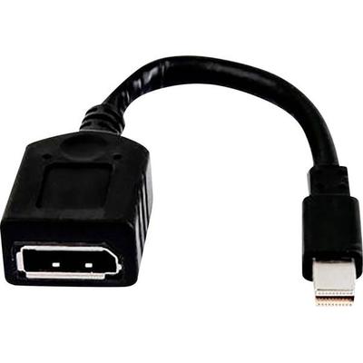 HP 2MY05AA Mini-DisplayPort / DisplayPort Adapter [1x Mini-DisplayPort Stecker - 1x DisplayPort Buchse]