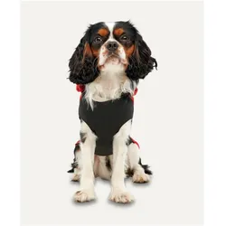 Goo-eez Gooeez Kangaroo Fleece Hoodie 2XL Red/Black (XXL), Hundemantel
