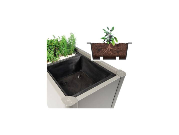 Biohort Pflanzeinsatz zu Pflanzbeet Belvedere (2St.)