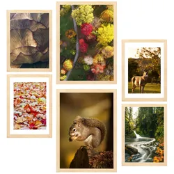 POSTER Set Mit 6 Kanadischer Herbst Rot Gelb & Braun A3 & A4 Rahmen Aus Hellem Holz