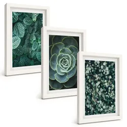 BILDER SET 3er Set - 20x30 cm Weißer Rahmen - Sukkulenten