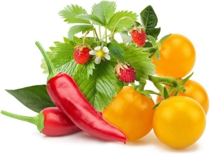 Click and Grow Mix aus Obst und Gemüse