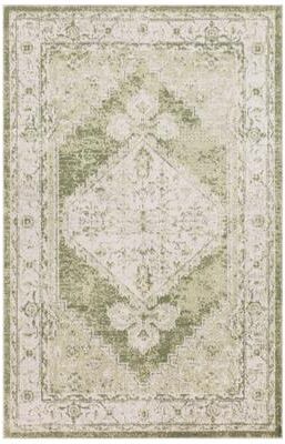 Nourison Astra Machine Washable Distressed Vintage Area Rug