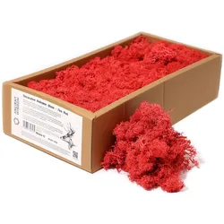 Quality Decoration Reindeer Moss - Fire Red - 635g Box