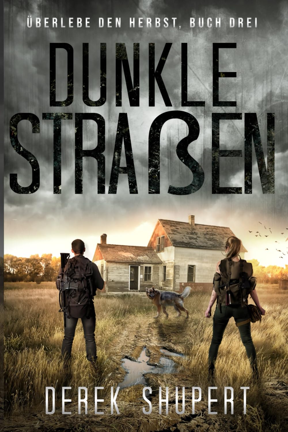 Derek Shupert - Dunkle Straßen (Survive the Fall, Band 3) - Preis vom 10.10.2026 11:48:34 h
