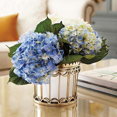 Bunny Williams Woodridge Cachepot - Ballard Designs