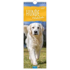 Trötsch Streifenkalender 2027805, Hunde, mit Ferienübersicht, 12 x 35 cm, Jahr 2027