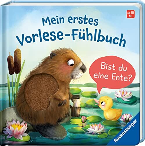 Orso, Kathrin Lena - Mein erstes Vorlese-Fühlbuch: Bist du eine Ente? - Preis vom 06.10.2026 07:26:00 h