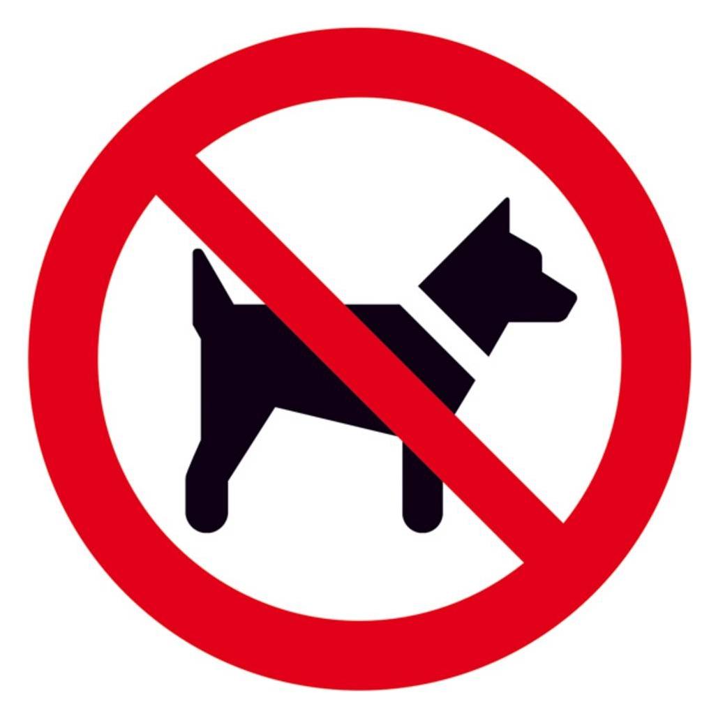 SafetyMarking Verbotsschild Mitführen von Hunden verboten (21.1000)