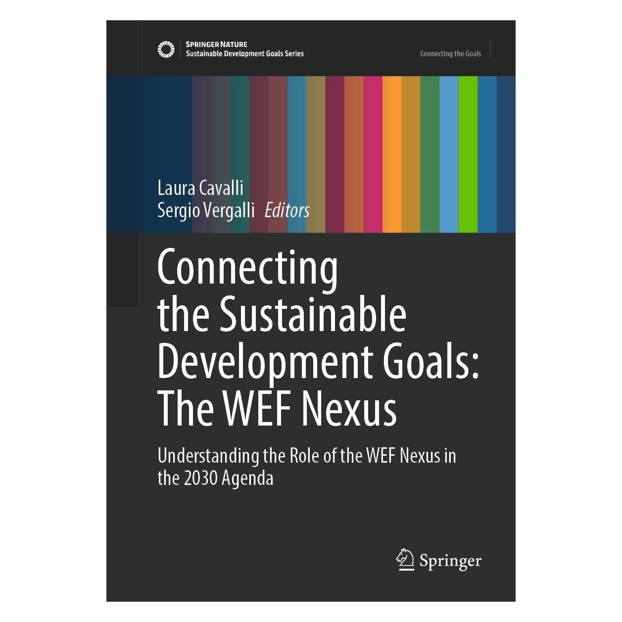 Springer Connecting the Sustainable Development Goals: The WEF Nexus (Englisch, Hardcover, Laura Cavalli, Sergio Vergalli) (9783031013355)