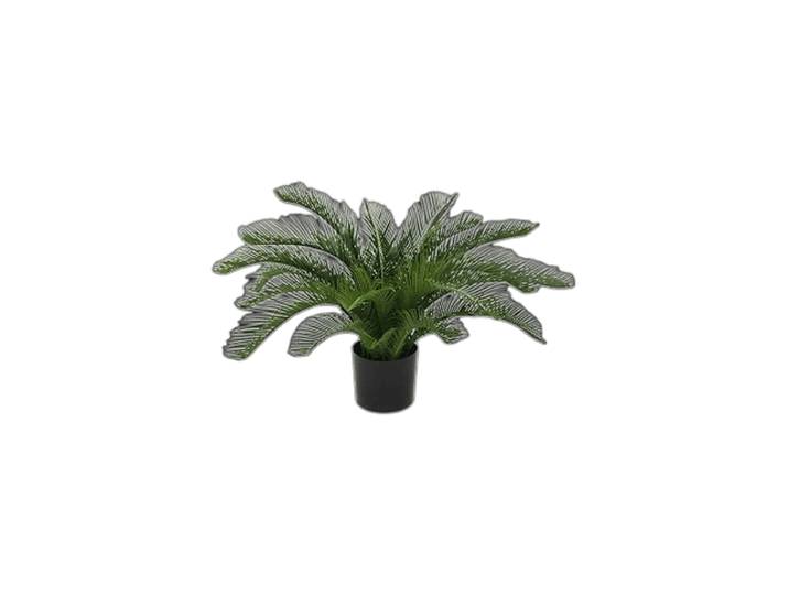 Lebensechte Kunstpflanze „Cycas Revoluta“, verschiedene Grössen Grün Baq Design