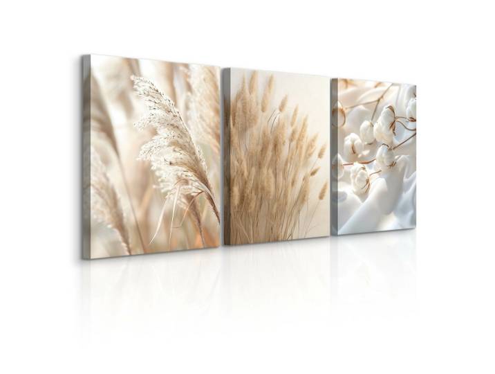 LEINWANDBILDER 3-es Set Pflanzen Natur