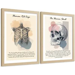 POSTER Set aus 2 Anatomie Mensch Lernposter Drucke und Wandbilder mit Skelett Rippen und Schädel Klinik Büro Dekoration Größe Leichter Holzrahmen A4