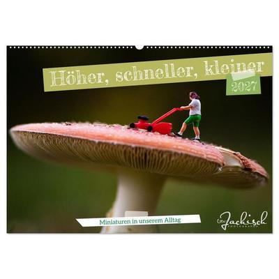 Höher, schneller, kleiner - Miniaturen in unserem Alltag (Wandkalender 2027 DIN A2 quer), CALVENDO Monatskalender